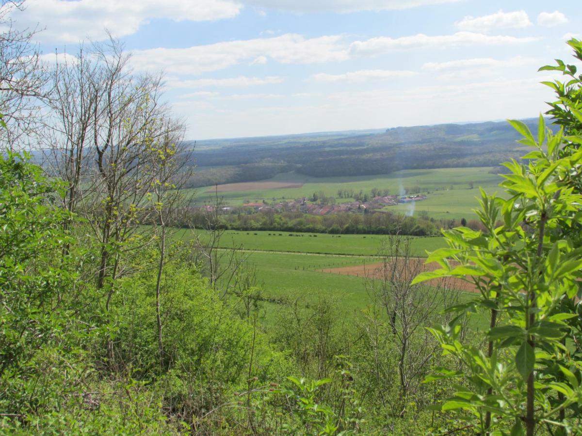La Taniere Douce Bed & Breakfast Soulaucourt-sur-Mouzon Екстериор снимка