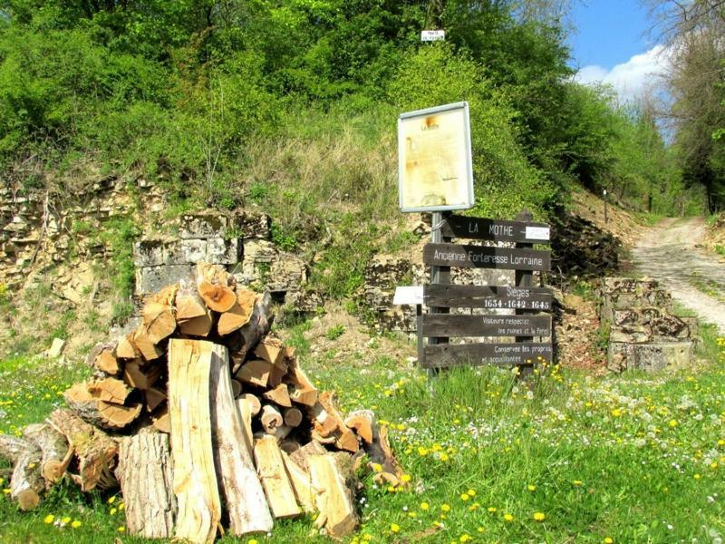 La Taniere Douce Bed & Breakfast Soulaucourt-sur-Mouzon Екстериор снимка